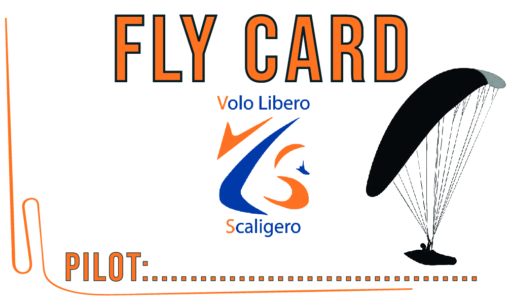 VLS FLYCARD